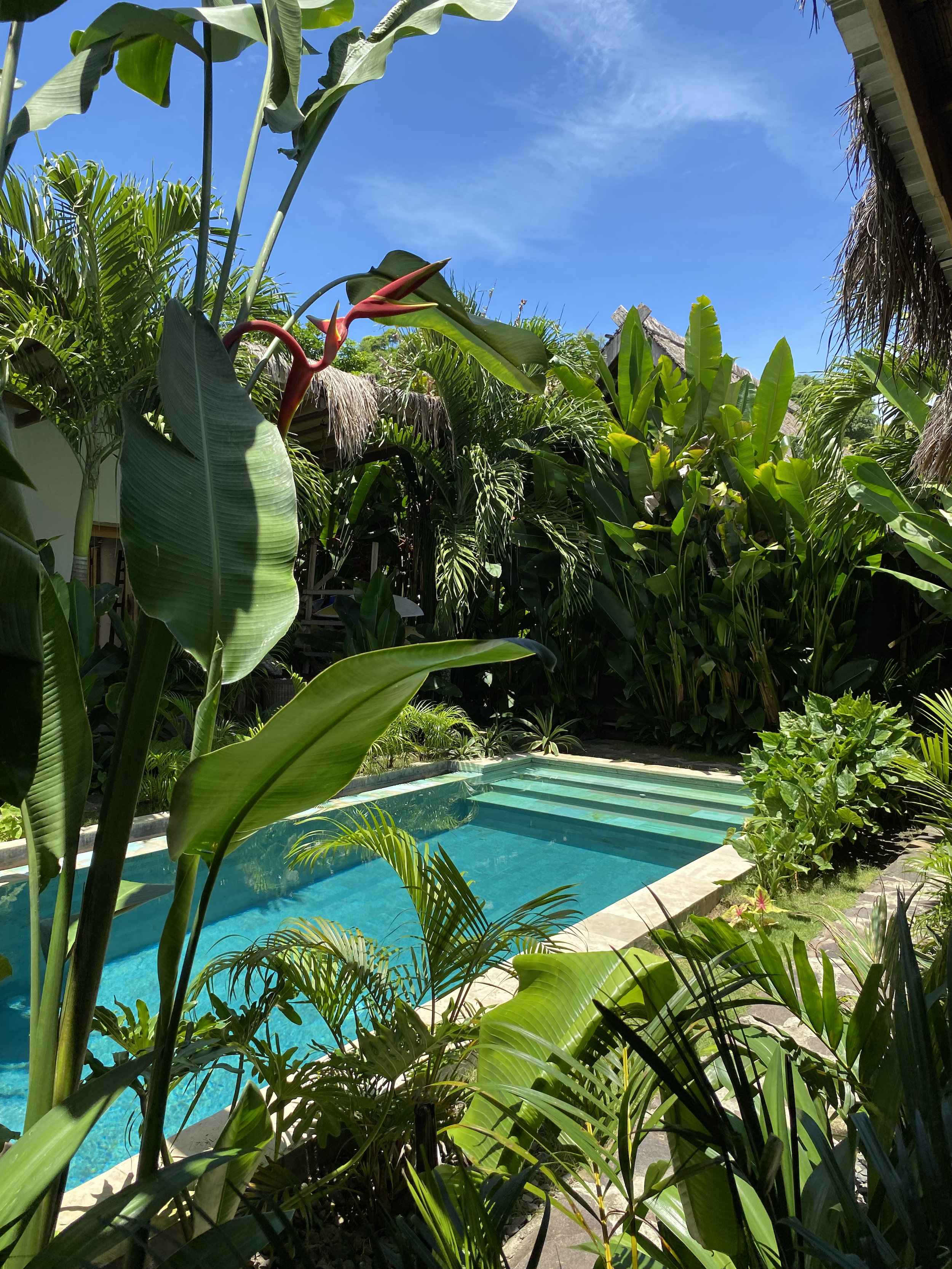 Boutique surf and yoga retreat sanctuary at Roots Lombok Gerupuk