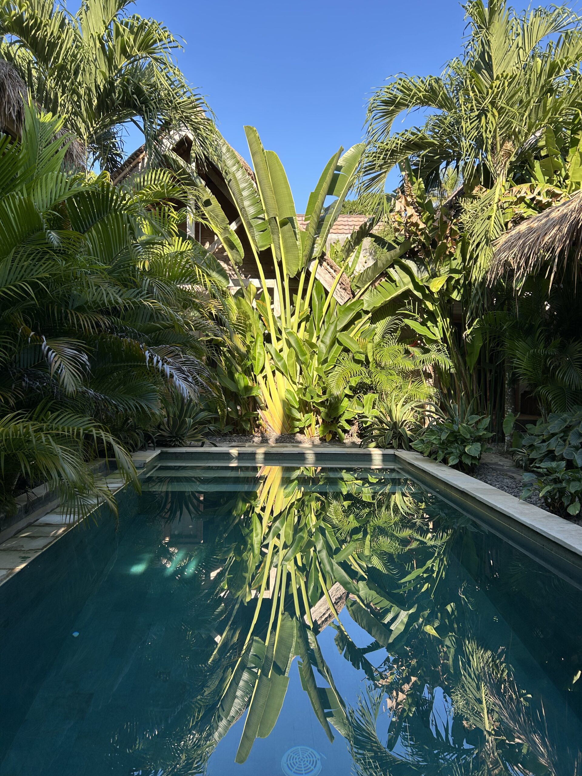 roots-surf-and-yoga-retreat-lombok.jpg